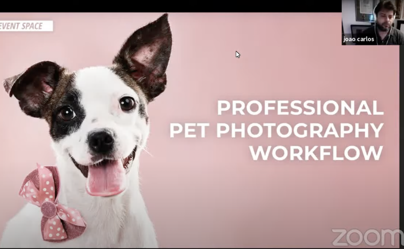 Professional Pet Photography Workflow | B&H Event Space